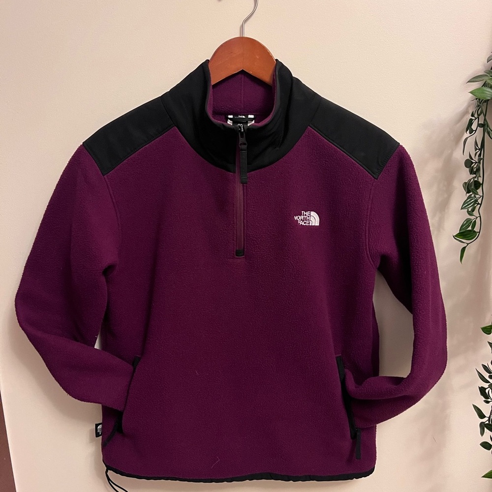 The North Face - Alpine Polartec 1/4 Zip Fleece Small